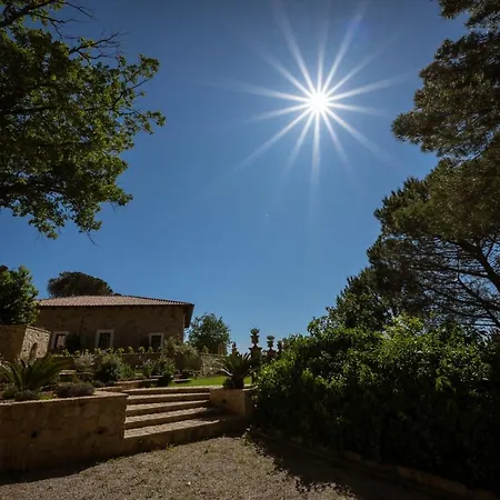 Donna Carolina Luxury *