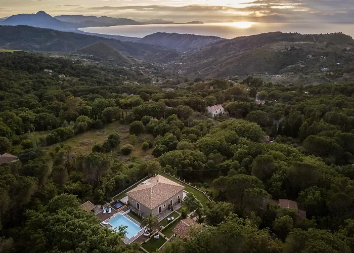 Donna Carolina Luxury