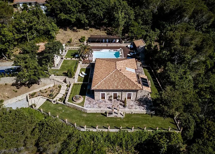 Donna Carolina Luxury *