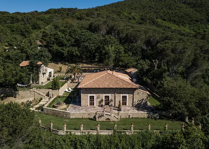 Donna Carolina Luxury *